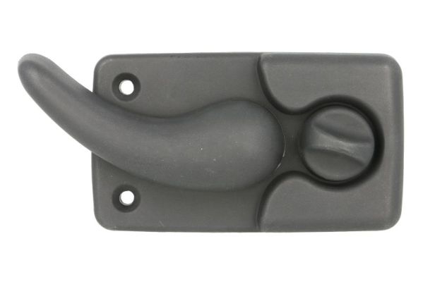 Exterior Door Handle (Back, right)  Art. 601009032417WP