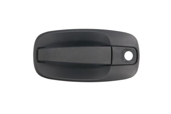 Exterior Door Handle (Forward, left)  Art. 601009041401P