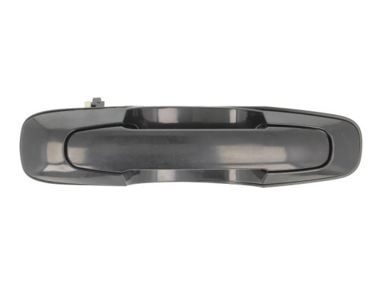 Exterior Door Handle (Forward, right)  Art. 601018014402P