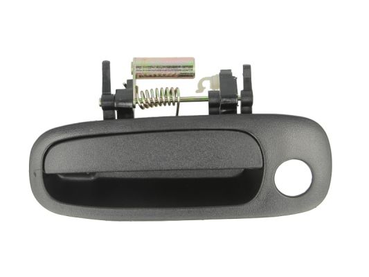 Exterior Door Handle (Forward, left)  Art. 601019030401P