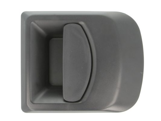 Exterior Door Handle (Forward, right)  Art. 601030002402P