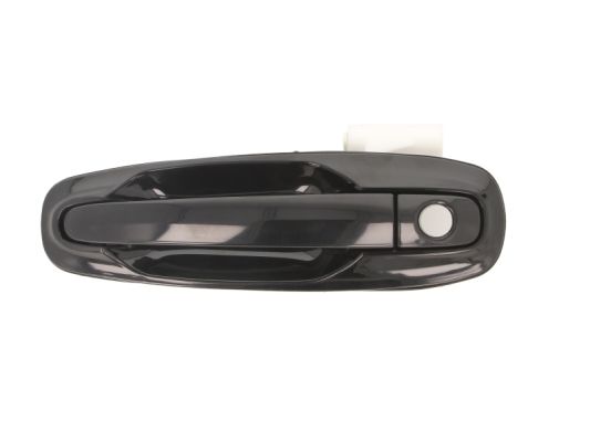 Exterior Door Handle (Forward, left)  Art. 601056002401PP