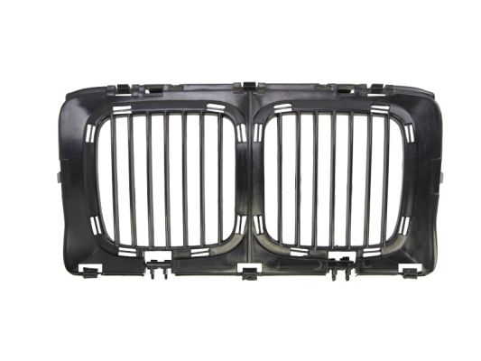 Radiator Grille (Front, Center)  Art. 6502070057990P