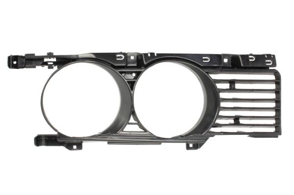 Radiator Grille (Outer, Left)  Art. 6502070057993P