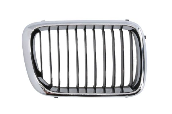 Radiator Grille (Right)  Art. 6502070060998P