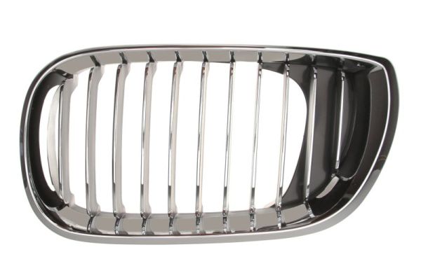 Radiator Grille (Left)  Art. 6502070061991PP