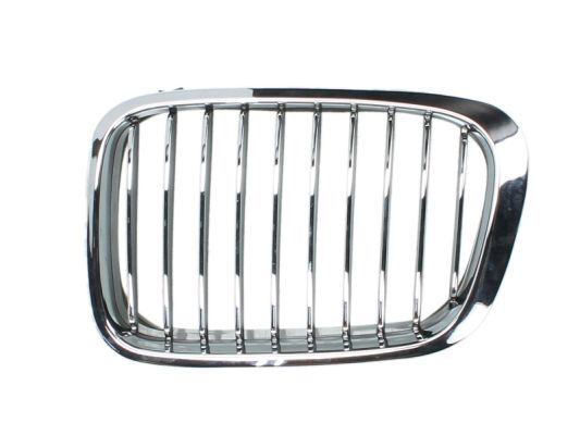 Radiator Grille (Forward, left)  Art. 6502070061991P