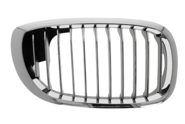 Radiator Grille (Right, Forward, right)  Art. 6502070061997PP