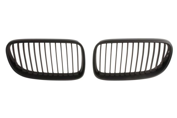 Radiator Grille  Art. 6502070062911KP