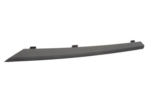 Trim/Protection Strip, bumper  Art. 6502070062921PQ