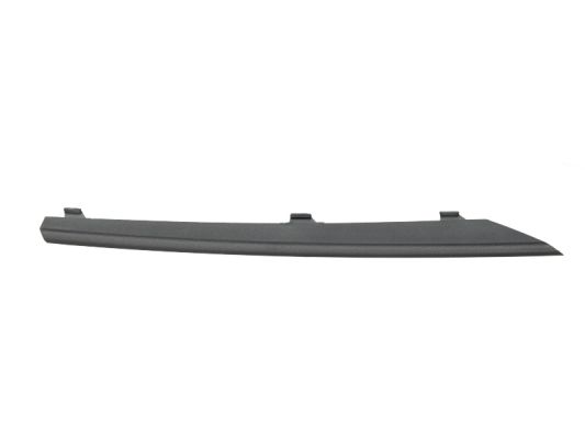 Trim/Protection Strip, bumper (Forward, right)  Art. 6502070062922PP