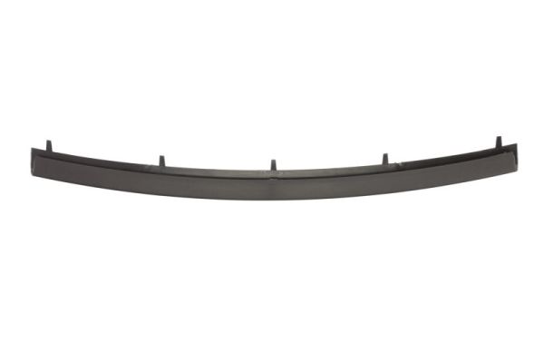 Trim/Protection Strip, bumper (In front)  Art. 6502070062923P