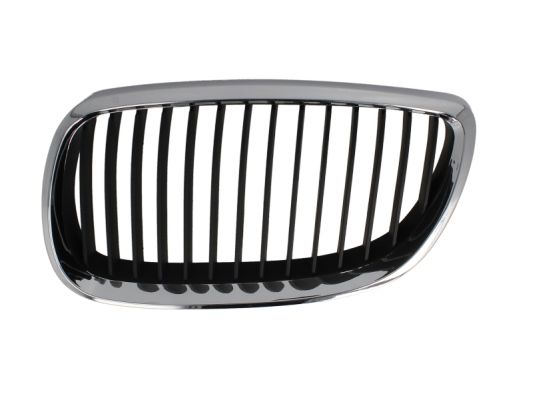 Radiator Grille (Forward, left)  Art. 65020700629911P