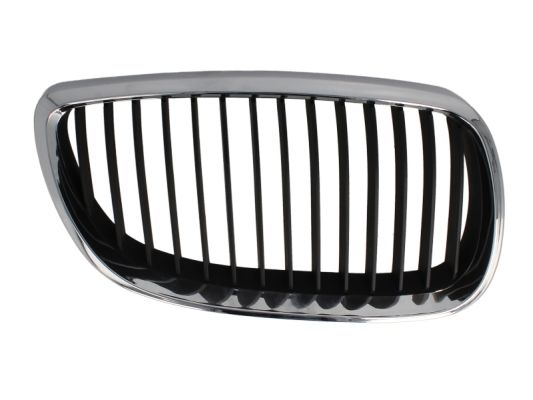 Radiator Grille (Forward, right)  Art. 65020700629912P