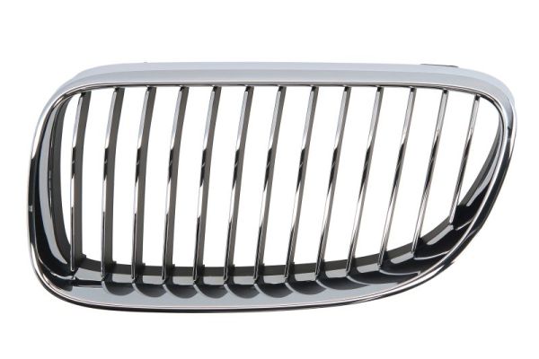 Radiator Grille  Art. 65020700629915PP