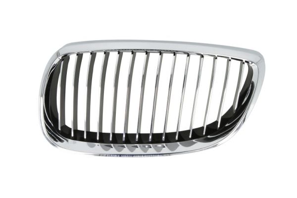 Radiator Grille (Left)  Art. 65020700629915P