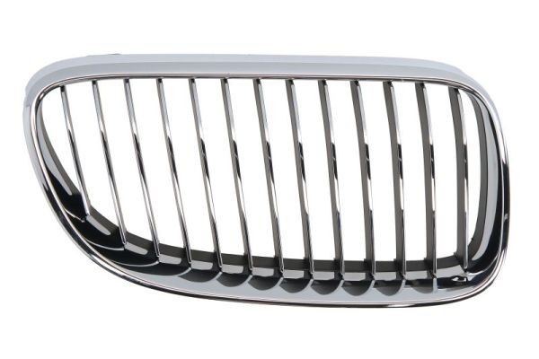 Radiator Grille  Art. 65020700629916PP