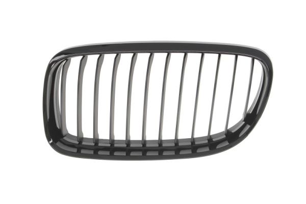 Radiator Grille  Art. 6502070062991BP