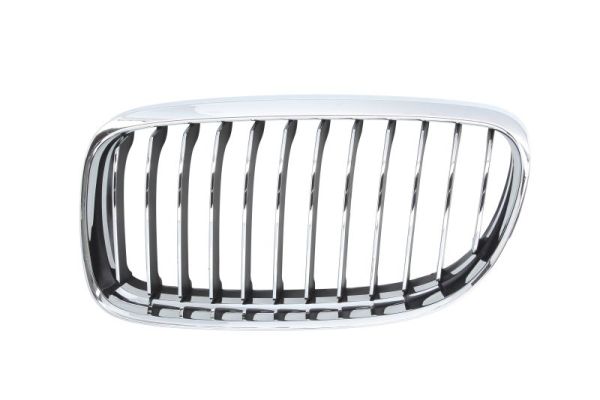 Radiator Grille (Forward, left)  Art. 6502070062991PQ