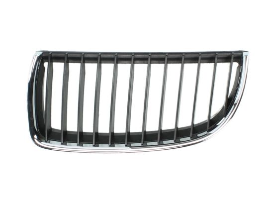 Radiator Grille (Forward, left)  Art. 6502070062991P