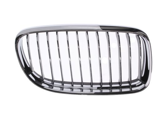 Radiator Grille (Forward, right)  Art. 6502070062992PP