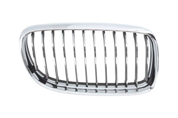 Radiator Grille (Forward, right)  Art. 6502070062992PQ