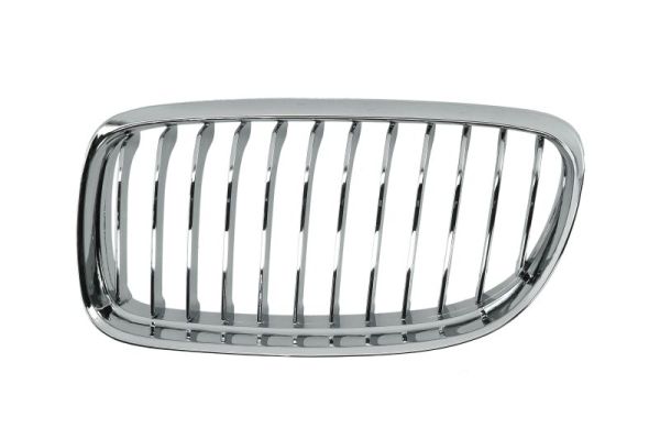 Radiator Grille (Left)  Art. 6502070062993PP