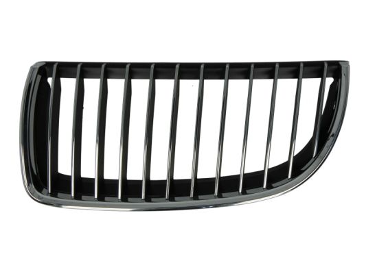 Radiator Grille (Forward, left)  Art. 6502070062993P