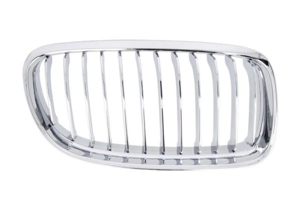 Radiator Grille (Right)  Art. 6502070062994PP