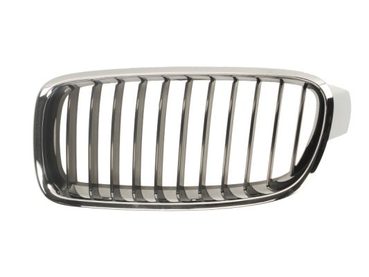 Radiator Grille (Left)  Art. 6502070063991P