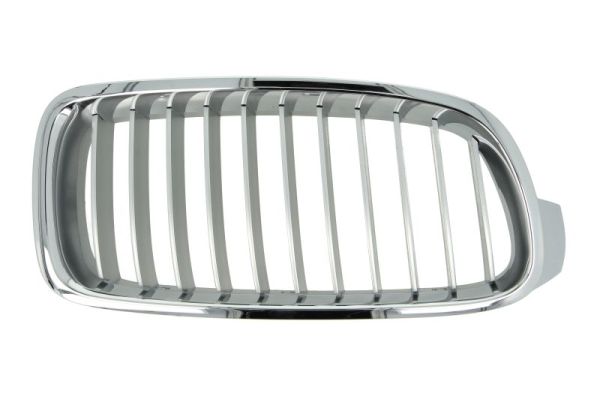 Radiator Grille (Right)  Art. 6502070063994P