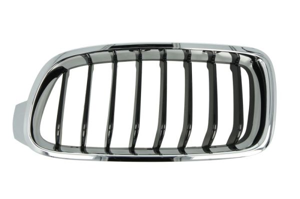 Radiator Grille (Left)  Art. 6502070063995P