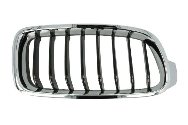 Radiator Grille (Right)  Art. 6502070063996P