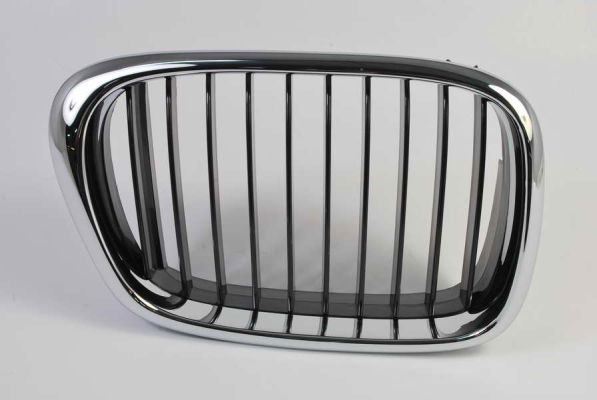 Radiator Grille (Forward, right)  Art. 65020700659912P