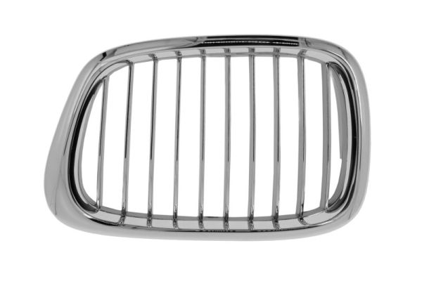 Radiator Grille (Forward, left)  Art. 65020700659913P