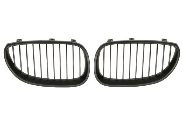 Radiator Grille  Art. 6502070066991KP