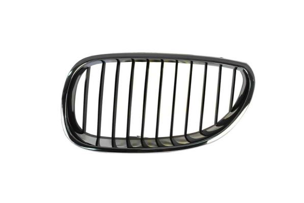 Radiator Grille (Forward, left)  Art. 6502070066991P