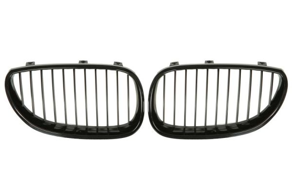 Radiator Grille  Art. 6502070066992KP