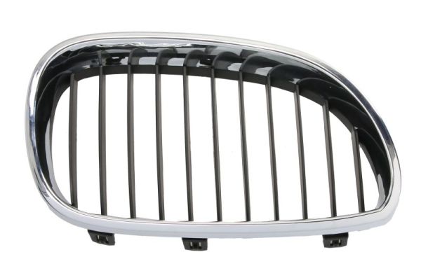 Radiator Grille  Art. 6502070066994P