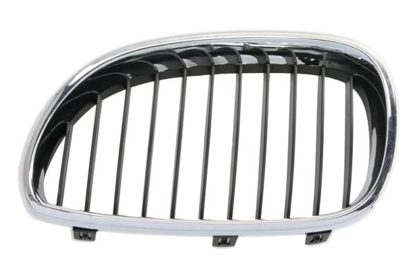 Radiator Grille  Art. 6502070066999P