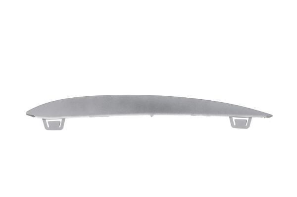 Trim/Protection Strip, bumper  Art. 6502070067928P