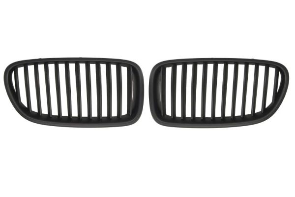 Radiator Grille  Art. 6502070067991KP