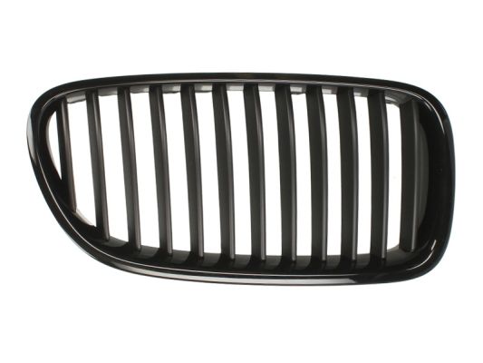 Radiator Grille (Left)  Art. 6502070067991P