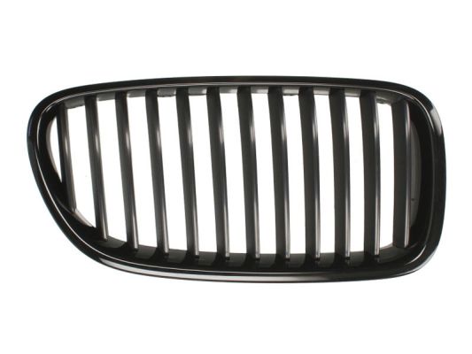 Radiator Grille (Right)  Art. 6502070067992P