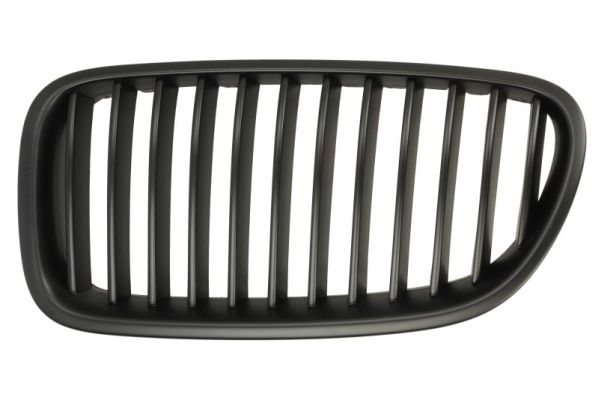 Radiator Grille  Art. 6502070067993BP