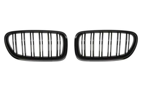 Radiator Grille  Art. 6502070067993KP