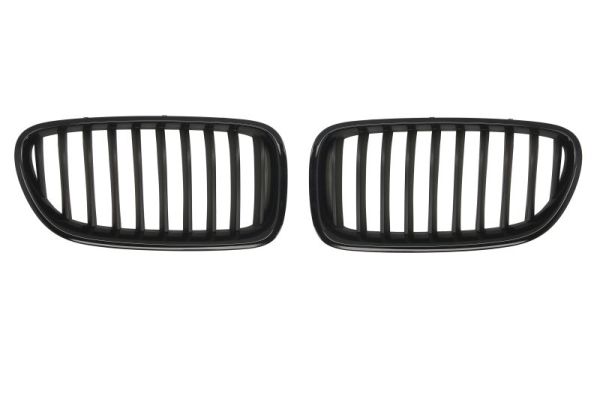 Radiator Grille  Art. 6502070067994KP