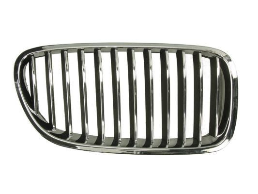 Radiator Grille (Right)  Art. 6502070067994P