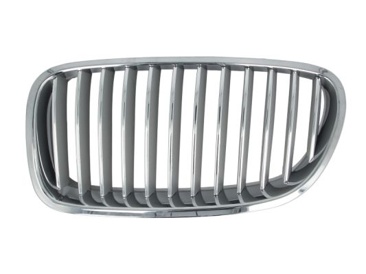 Radiator Grille (Left)  Art. 6502070067995P