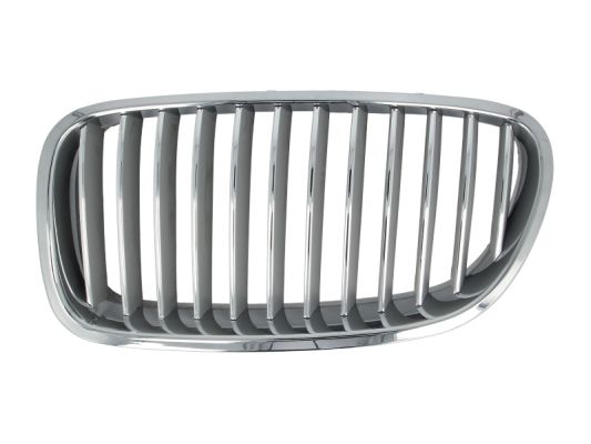 Radiator Grille (Right)  Art. 6502070067996P